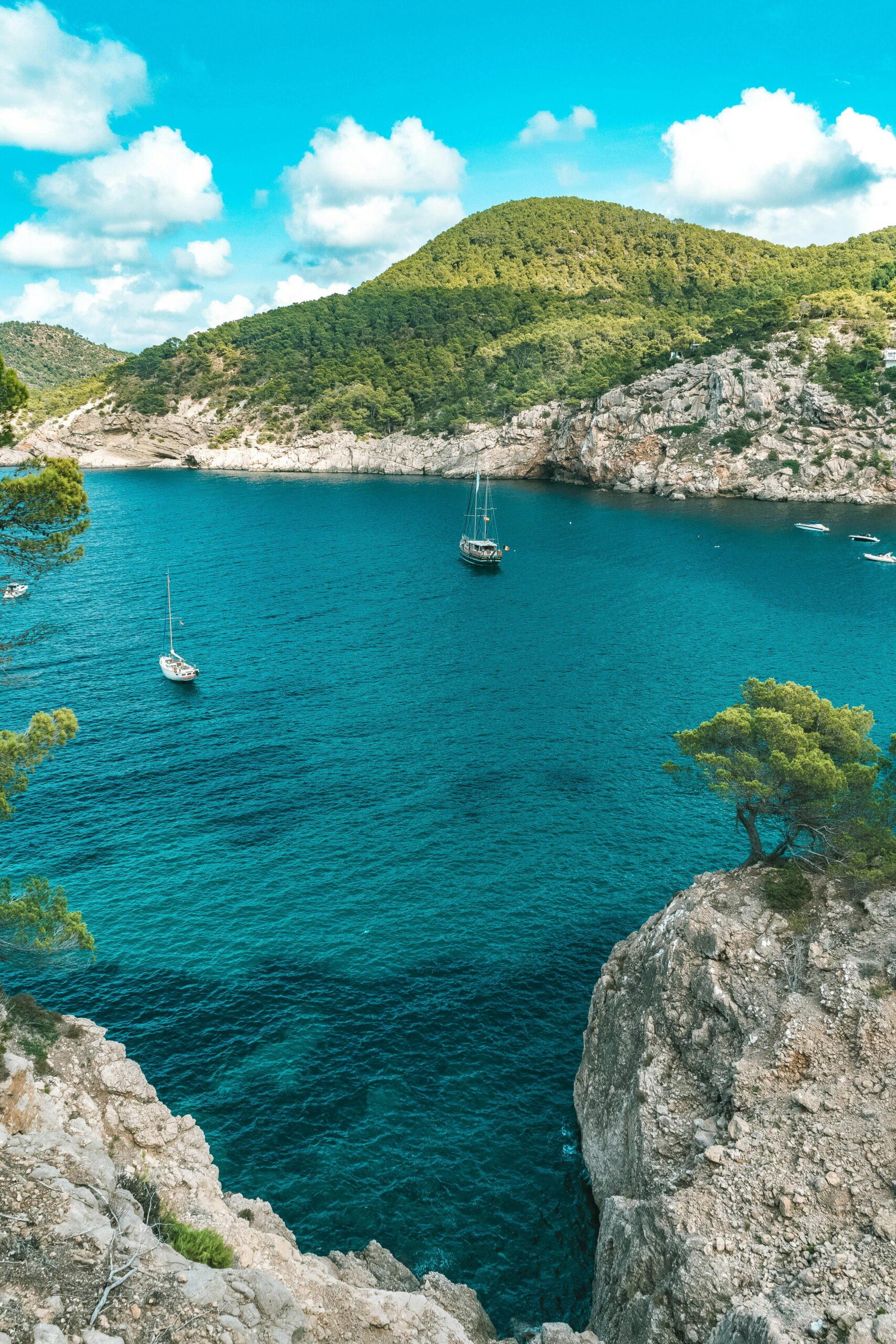 Slika Ibice za Web sajt Millenium turisticke agencije