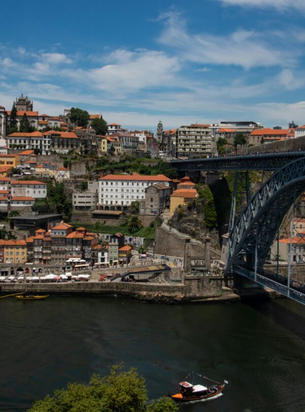 Slika Porta za Web sajt Millenium turisticke agencije